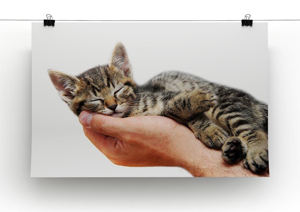 Little baby cat sleeping in male arms Canvas Print or Poster - Canvas Art Rocks - 2