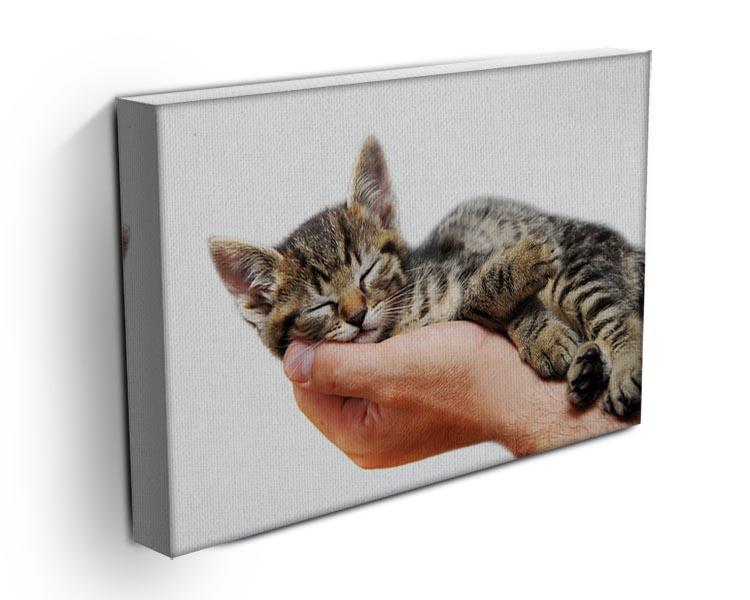 Little baby cat sleeping in male arms Canvas Print or Poster - Canvas Art Rocks - 3