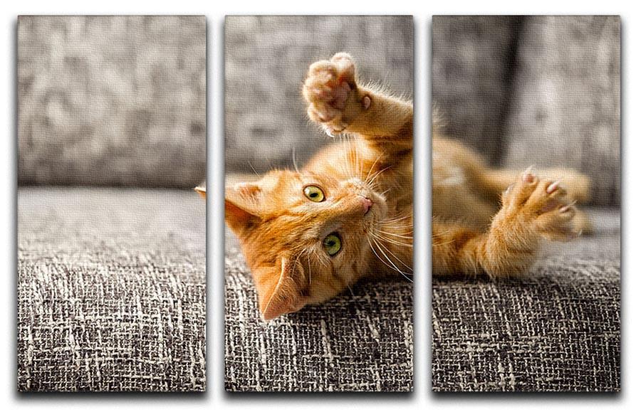 Little cat playing on the bed 3 Split Panel Canvas Print - Canvas Art Rocks - 1