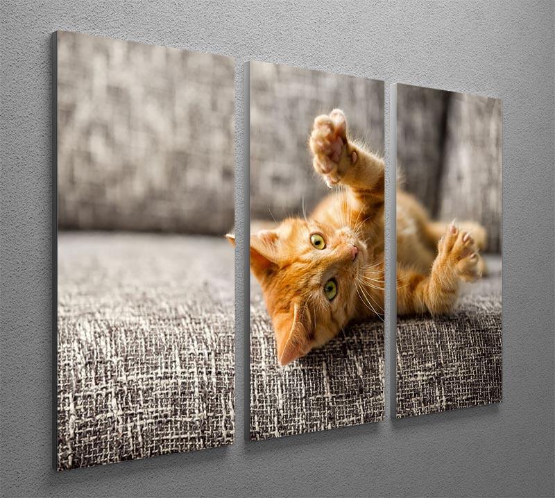 Little cat playing on the bed 3 Split Panel Canvas Print - Canvas Art Rocks - 2