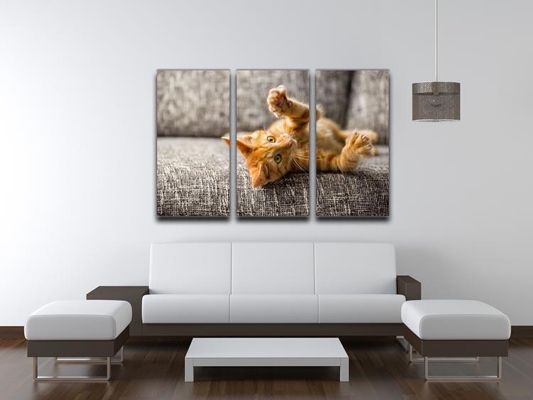 Little cat playing on the bed 3 Split Panel Canvas Print - Canvas Art Rocks - 3