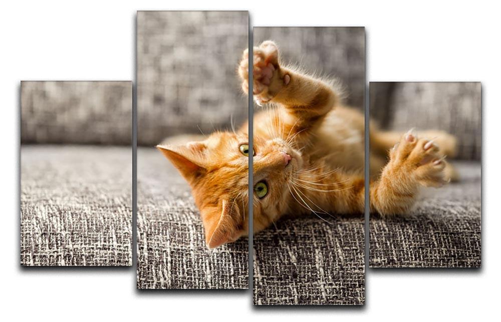 Little cat playing on the bed 4 Split Panel Canvas - Canvas Art Rocks - 1
