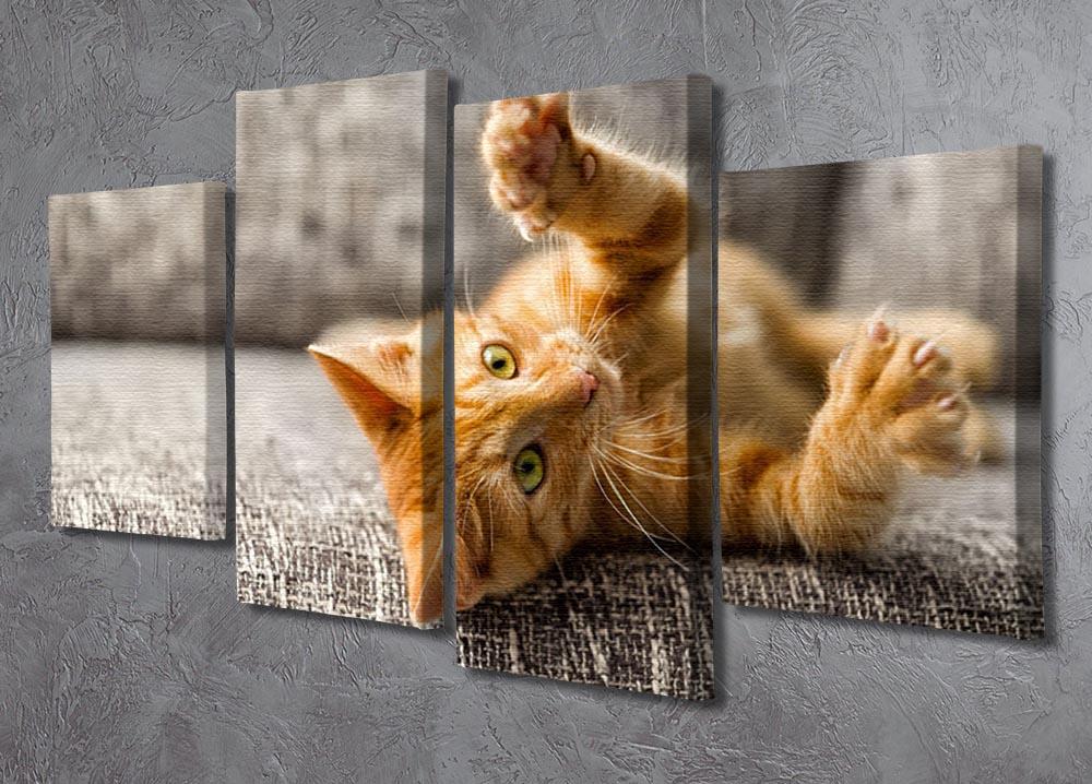 Little cat playing on the bed 4 Split Panel Canvas - Canvas Art Rocks - 2
