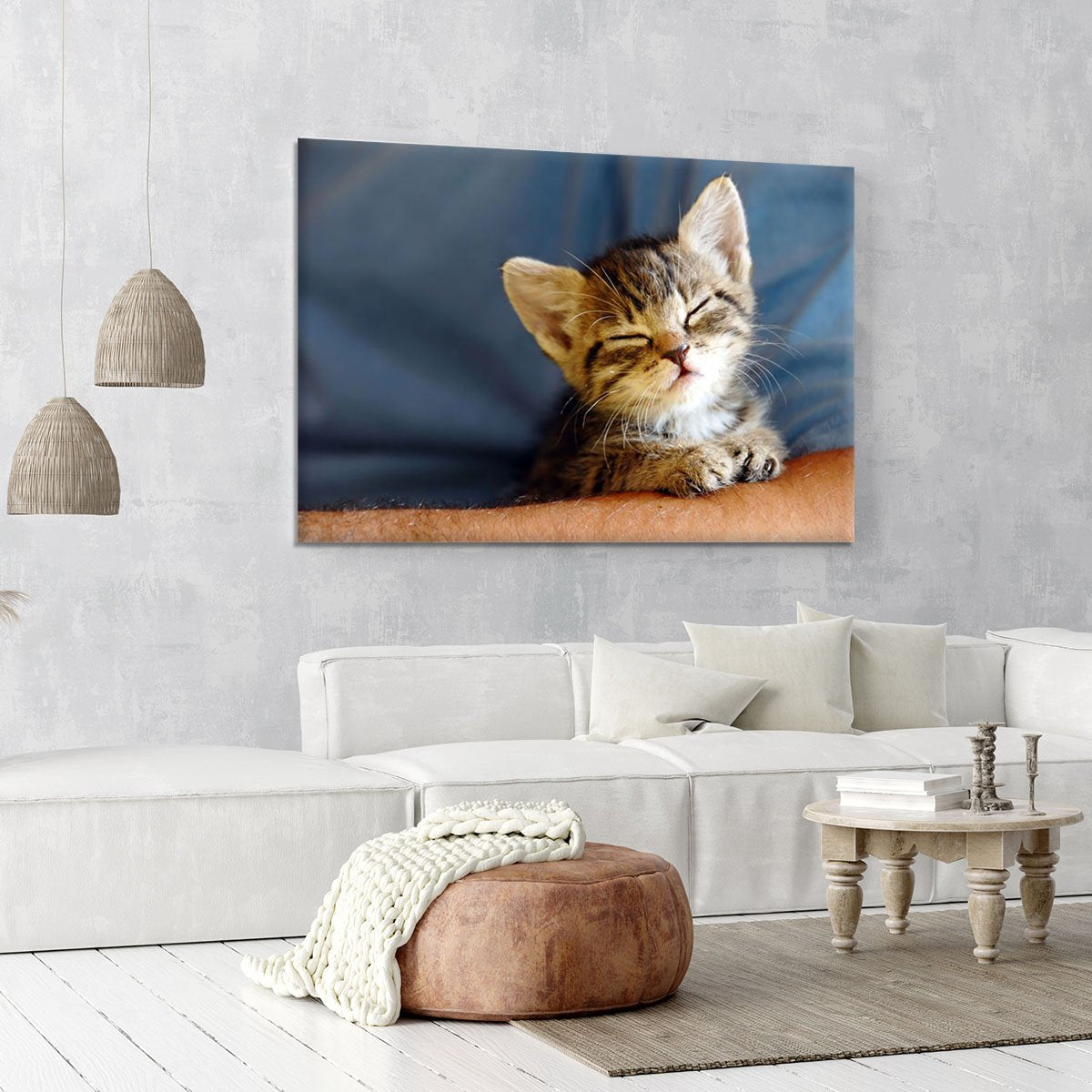Little cat sleeping on human hand closeup Canvas Print or Poster