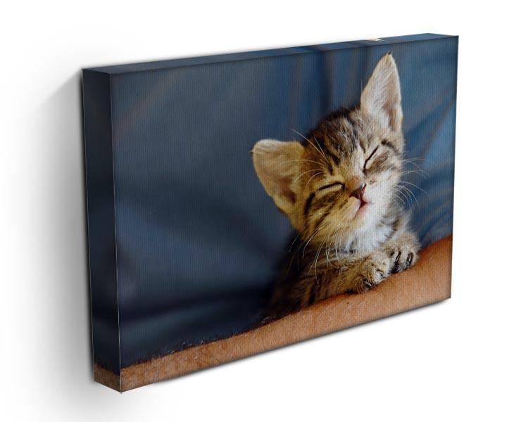 Little cat sleeping on human hand closeup Canvas Print or Poster - Canvas Art Rocks - 3