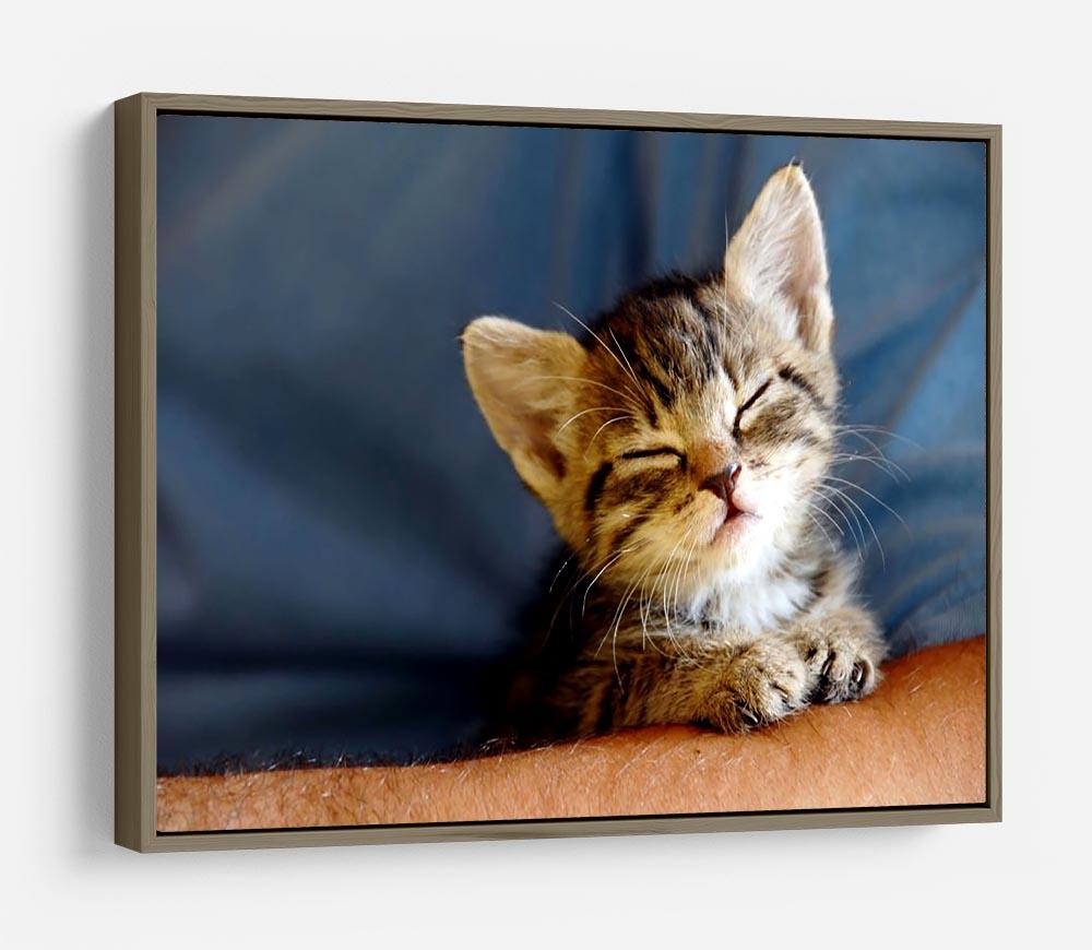 Little cat sleeping on human hand closeup HD Metal Print - Canvas Art Rocks - 10