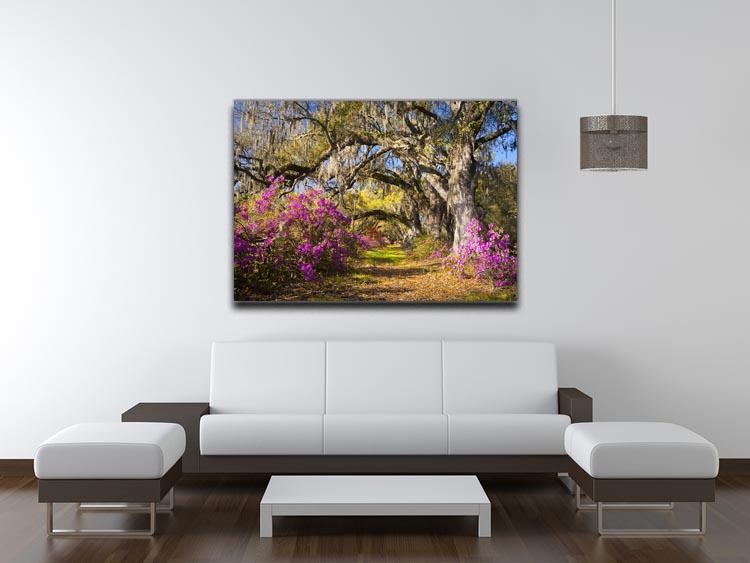 Live oak trees in morning sunlight Canvas Print or Poster - Canvas Art Rocks - 4