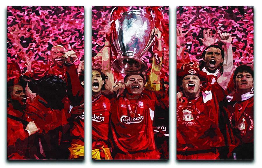 Liverpool Football Champions League In Istanbul 3 Split Panel Canvas Print - Canvas Art Rocks - 1