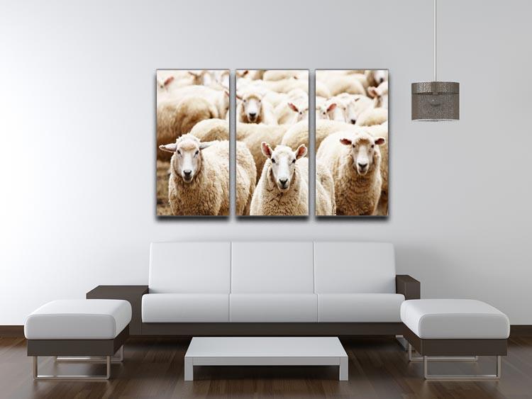 Livestock farm herd of sheep 3 Split Panel Canvas Print - Canvas Art Rocks - 3