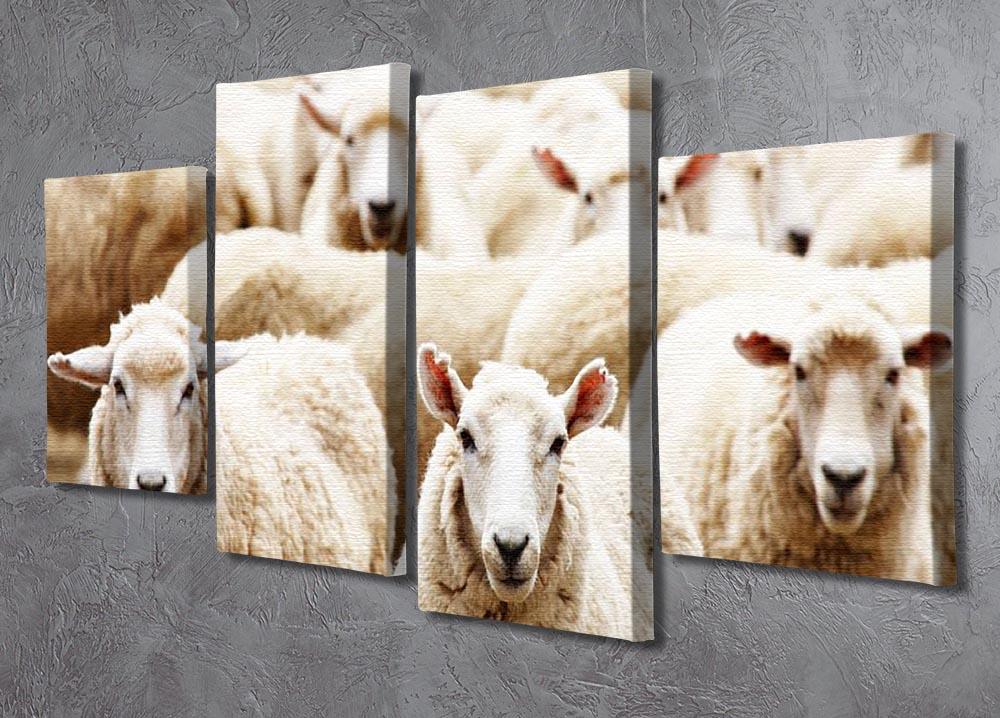 Livestock farm herd of sheep 4 Split Panel Canvas - Canvas Art Rocks - 2
