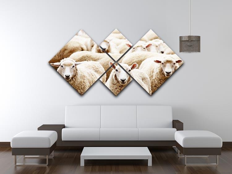 Livestock farm herd of sheep 4 Square Multi Panel Canvas - Canvas Art Rocks - 3