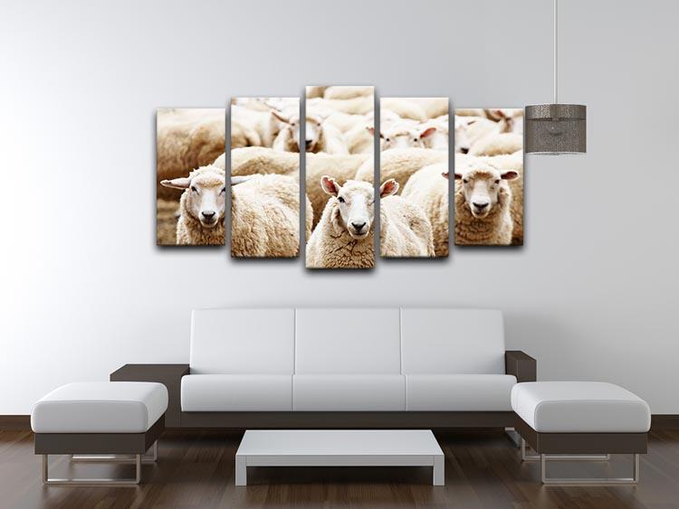 Livestock farm herd of sheep 5 Split Panel Canvas - Canvas Art Rocks - 3