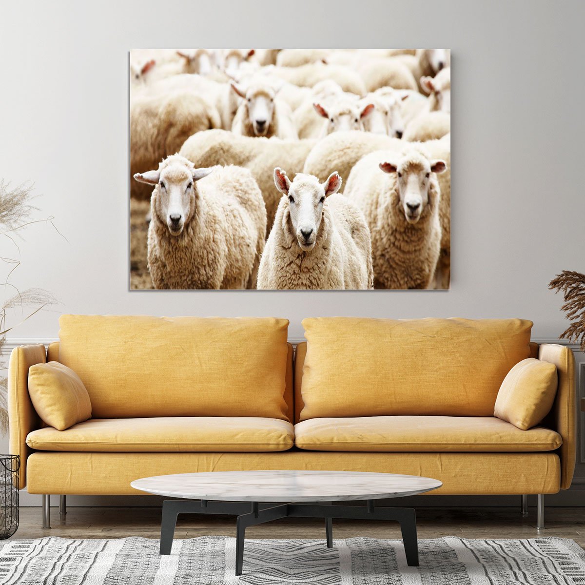 Livestock farm herd of sheep Canvas Print or Poster