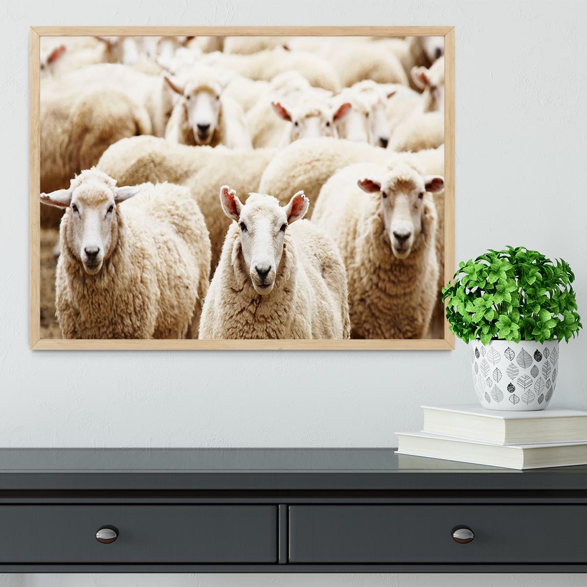 Livestock farm herd of sheep Framed Print - Canvas Art Rocks - 4