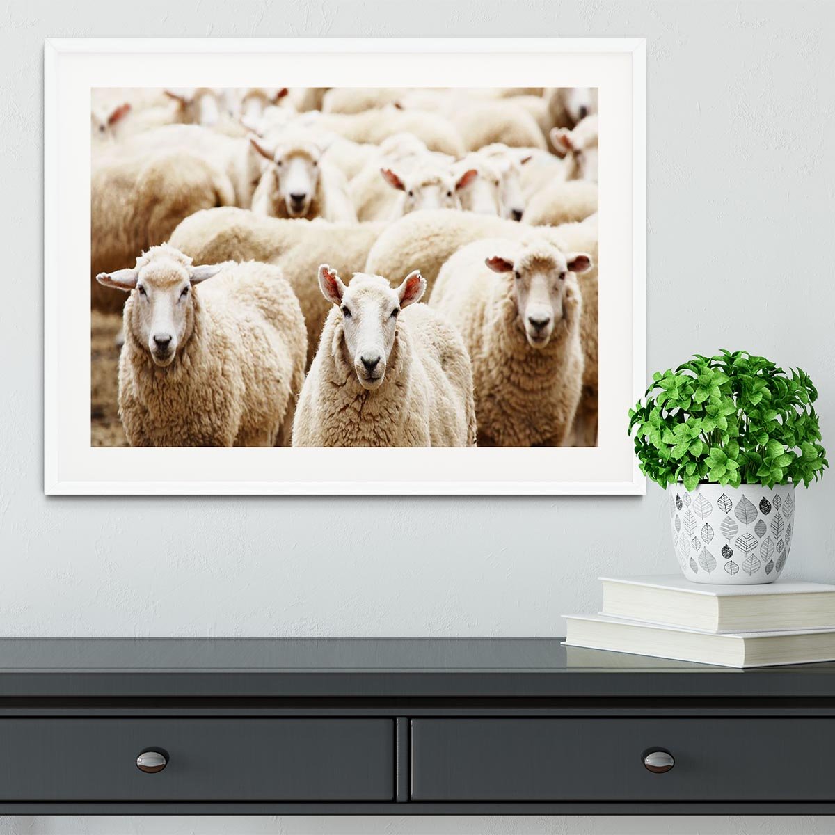 Livestock farm herd of sheep Framed Print - Canvas Art Rocks - 5