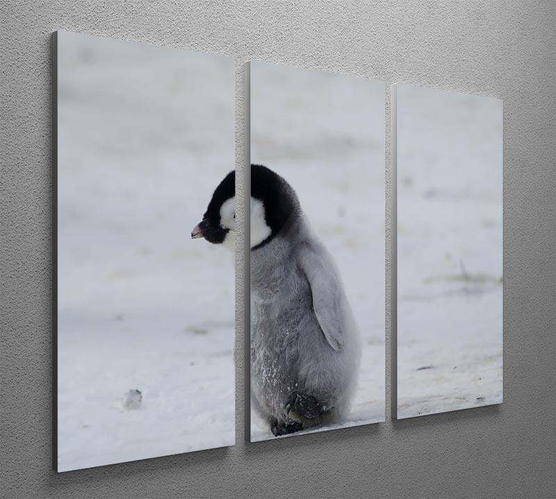 Lone Penguin Chick 3 Split Panel Canvas Print - Canvas Art Rocks - 2