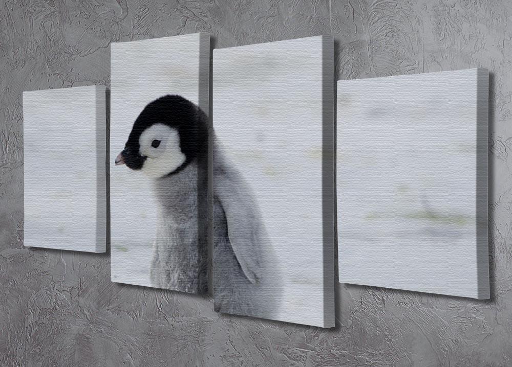 Lone Penguin Chick 4 Split Panel Canvas - Canvas Art Rocks - 2