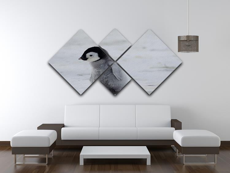 Lone Penguin Chick 4 Square Multi Panel Canvas - Canvas Art Rocks - 3