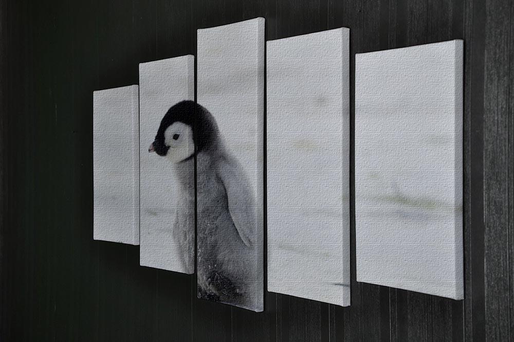 Lone Penguin Chick 5 Split Panel Canvas - Canvas Art Rocks - 2