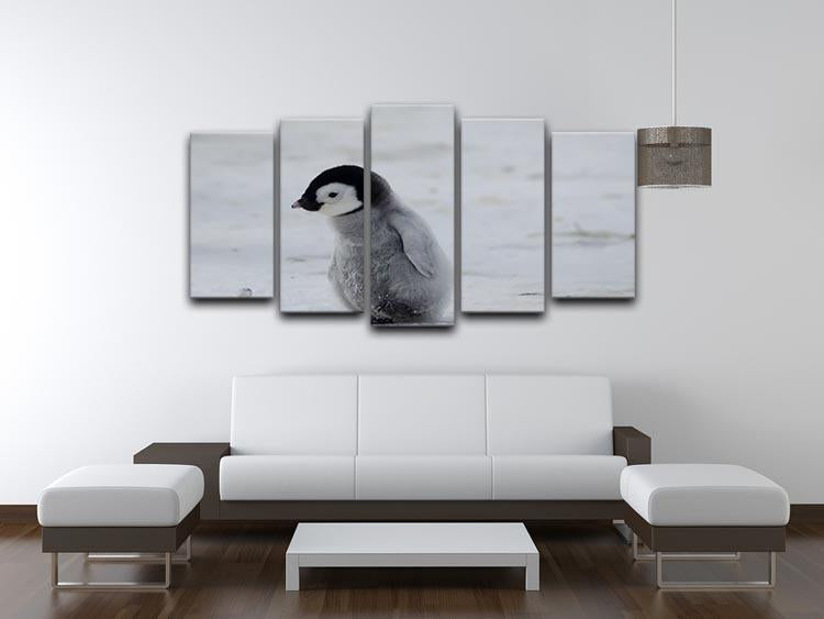 Lone Penguin Chick 5 Split Panel Canvas - Canvas Art Rocks - 3