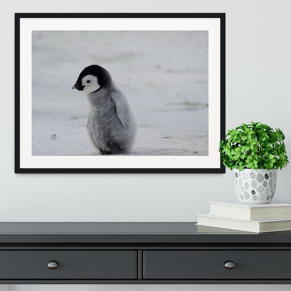 Lone Penguin Chick Framed Print - Canvas Art Rocks - 1