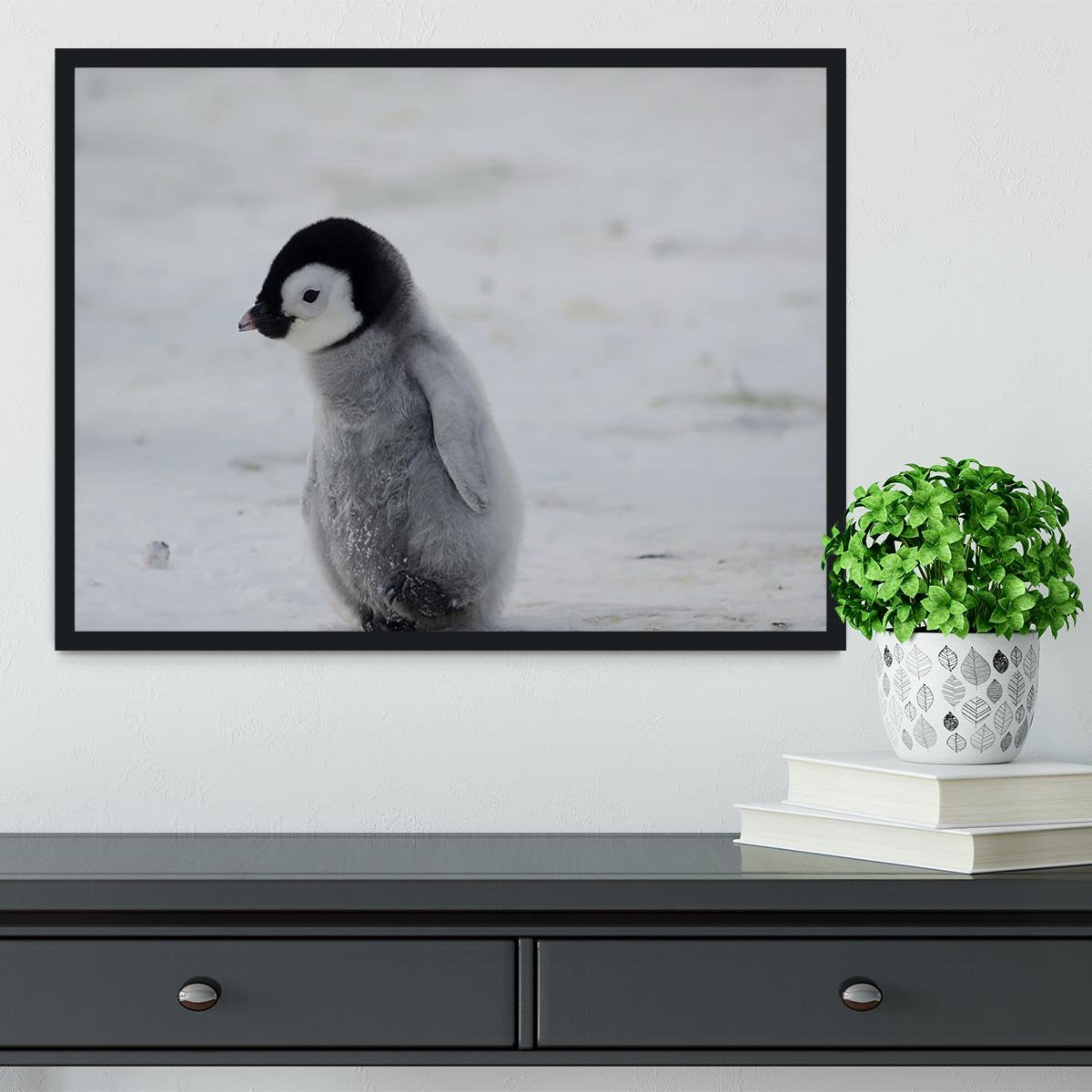 Lone Penguin Chick Framed Print - Canvas Art Rocks - 2