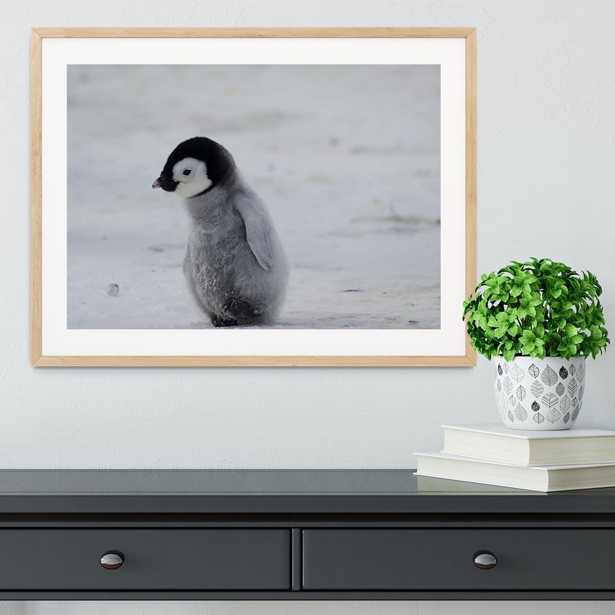 Lone Penguin Chick Framed Print - Canvas Art Rocks - 3