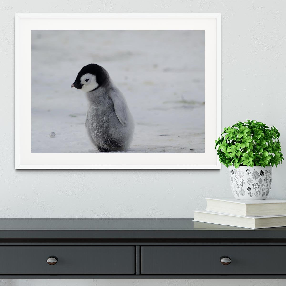 Lone Penguin Chick Framed Print - Canvas Art Rocks - 5