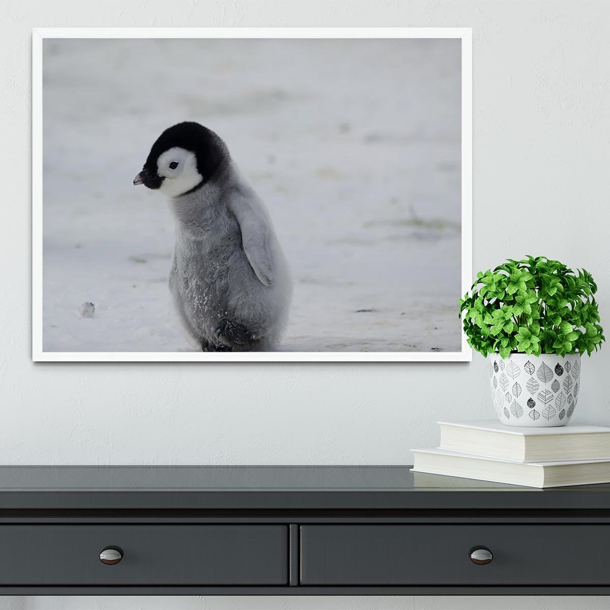 Lone Penguin Chick Framed Print - Canvas Art Rocks -6
