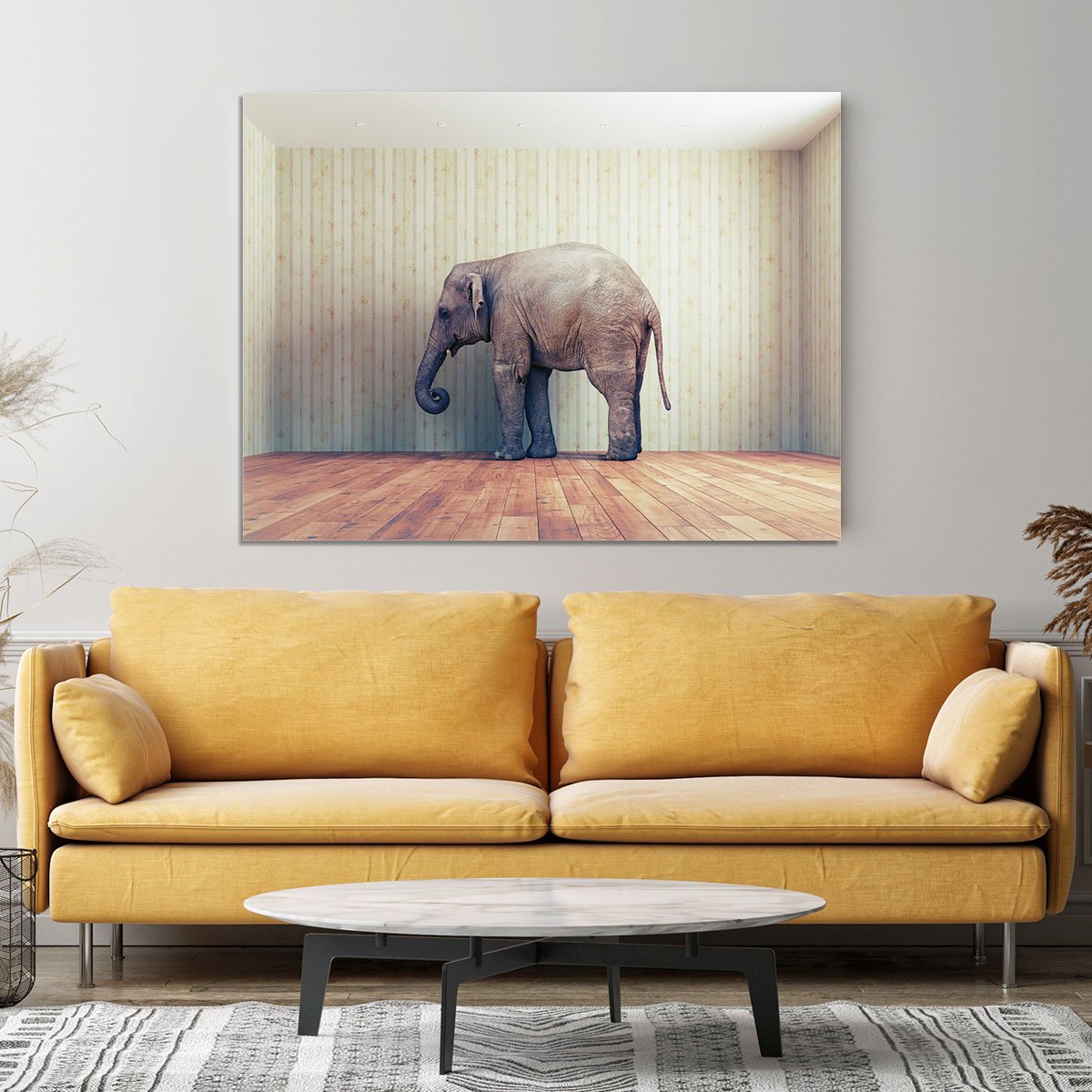 Lone elephant in the room Canvas Print or Poster