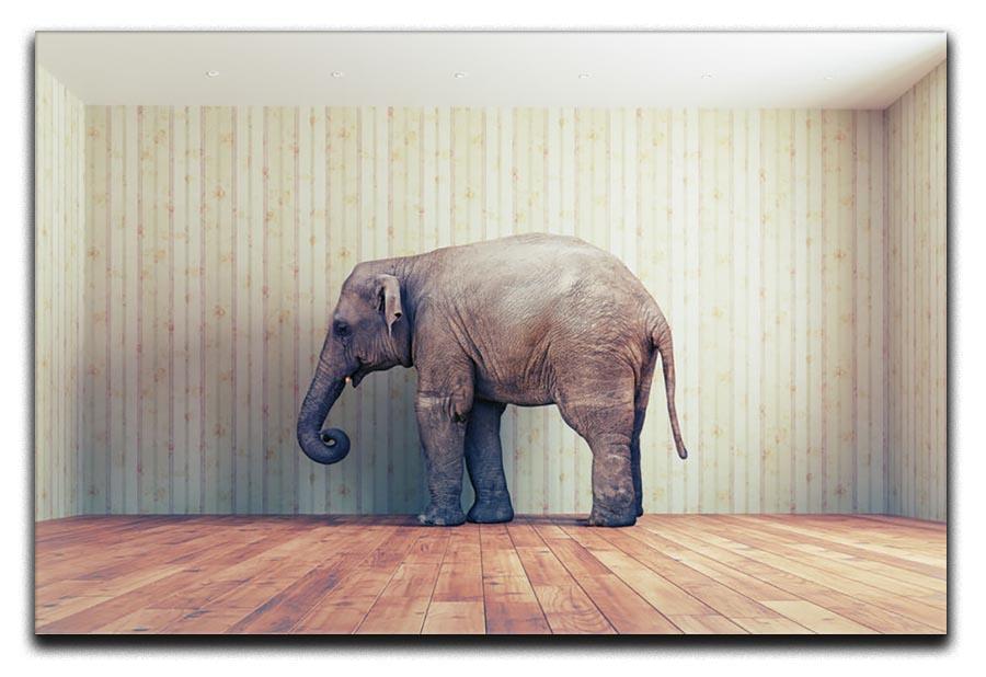 Lone elephant in the room Canvas Print or Poster - Canvas Art Rocks - 1
