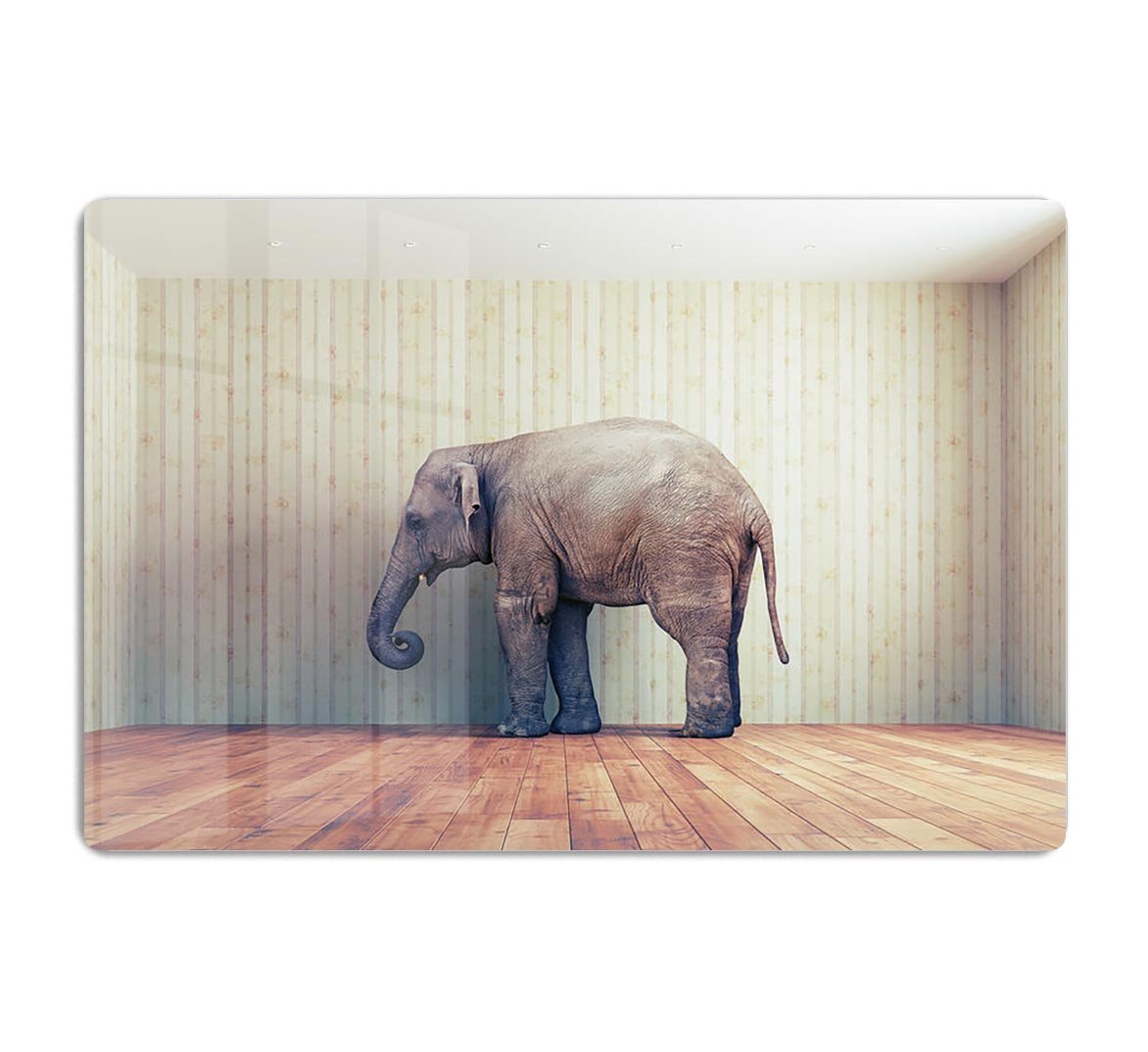 Lone elephant in the room HD Metal Print - Canvas Art Rocks - 1