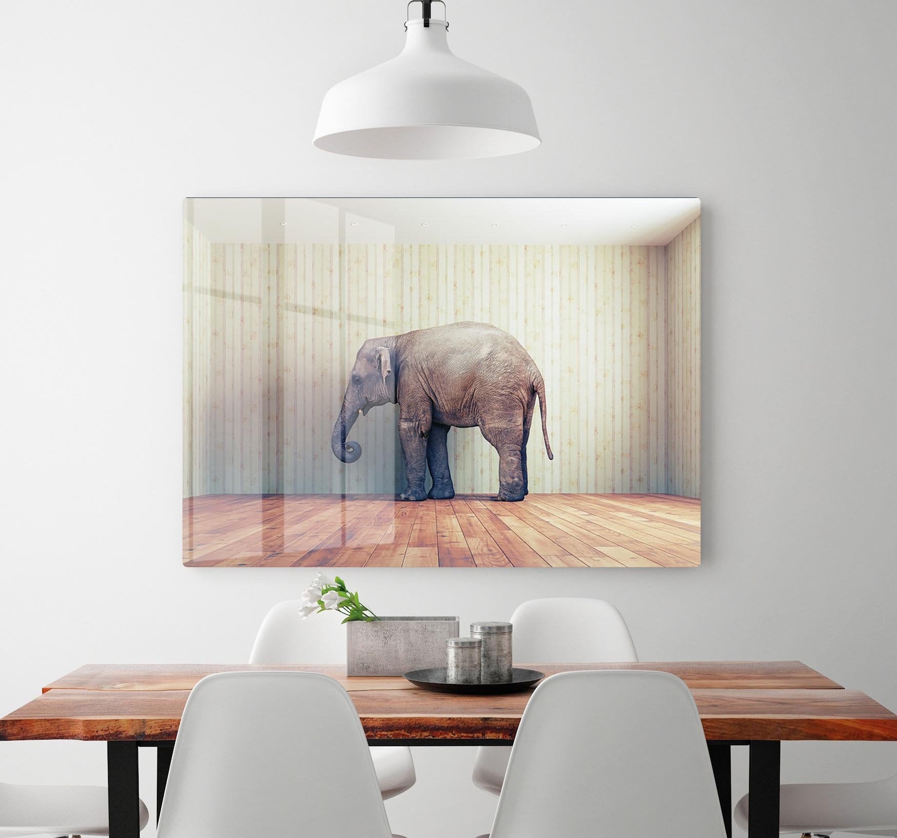 Lone elephant in the room HD Metal Print - Canvas Art Rocks - 2