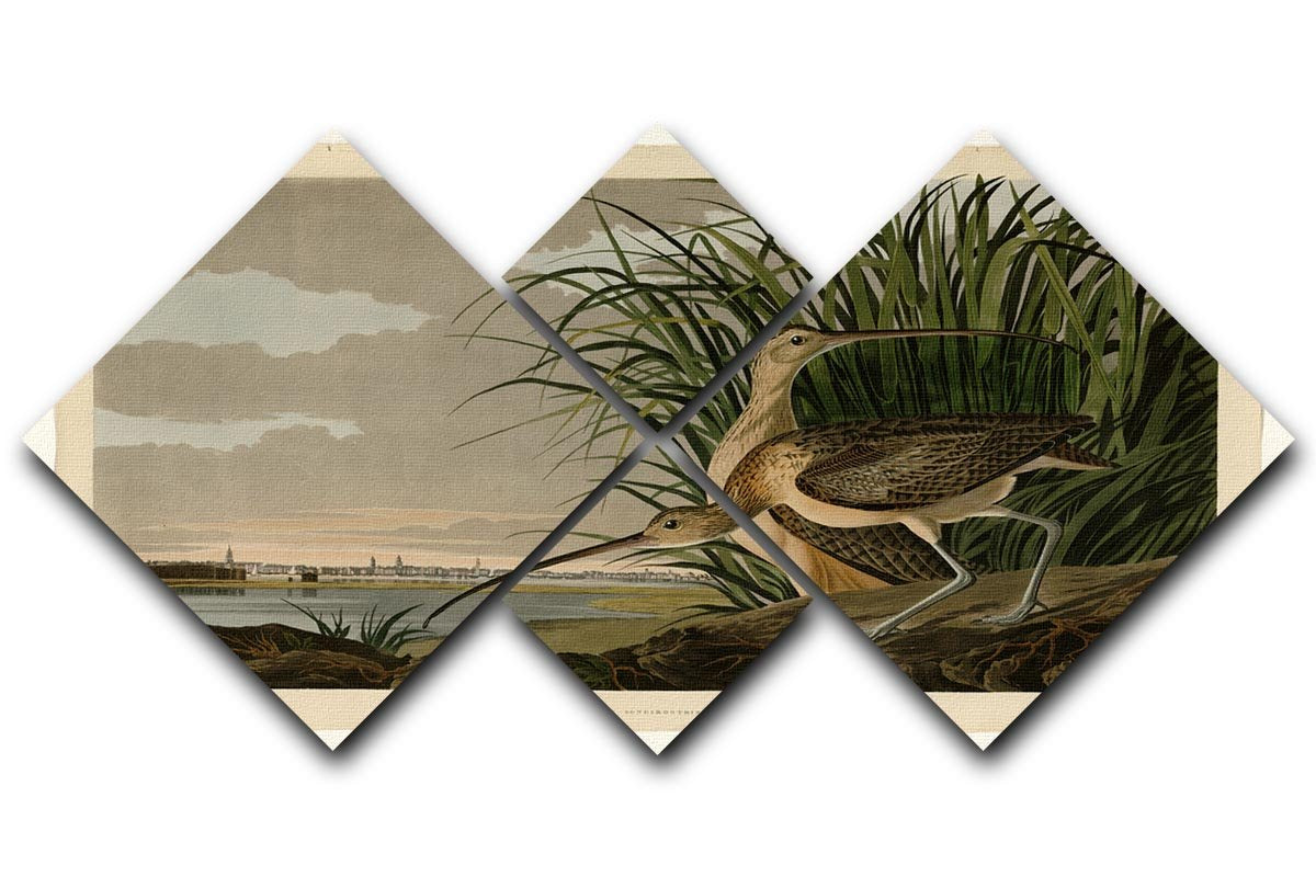 Long billed Curlew by Audubon 4 Square Multi Panel Canvas - Canvas Art Rocks - 1