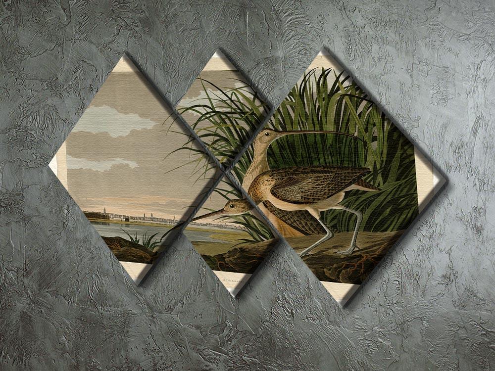 Long billed Curlew by Audubon 4 Square Multi Panel Canvas - Canvas Art Rocks - 2