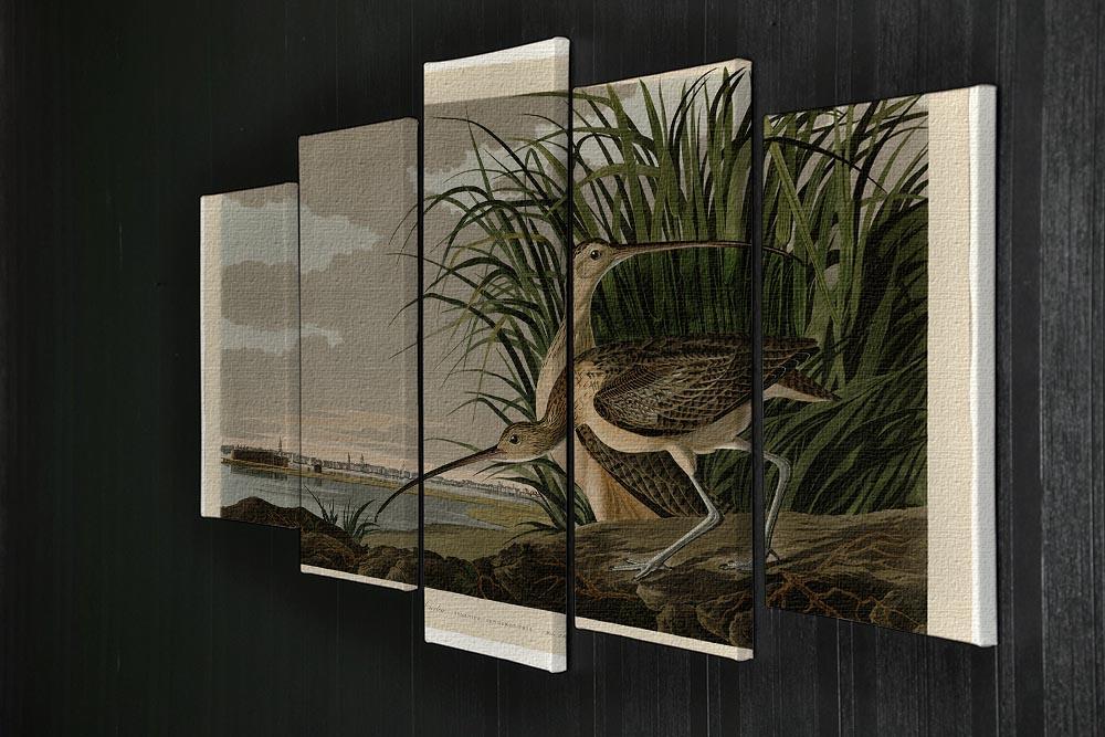 Long billed Curlew by Audubon 5 Split Panel Canvas - Canvas Art Rocks - 2