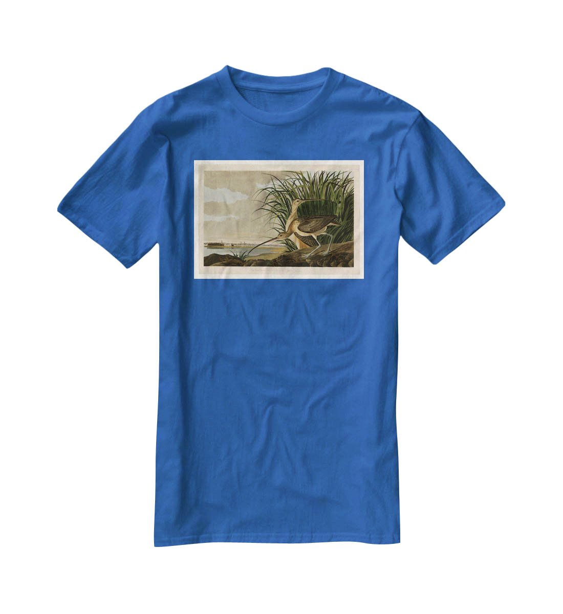Long billed Curlew by Audubon T-Shirt - Canvas Art Rocks - 2