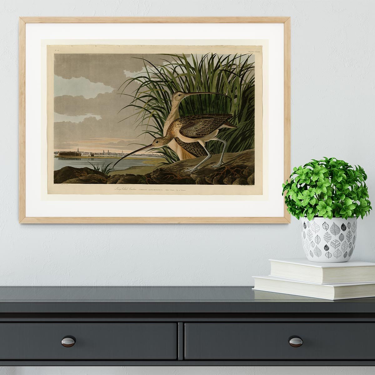 Long billed Curlew by Audubon Framed Print - Canvas Art Rocks - 3