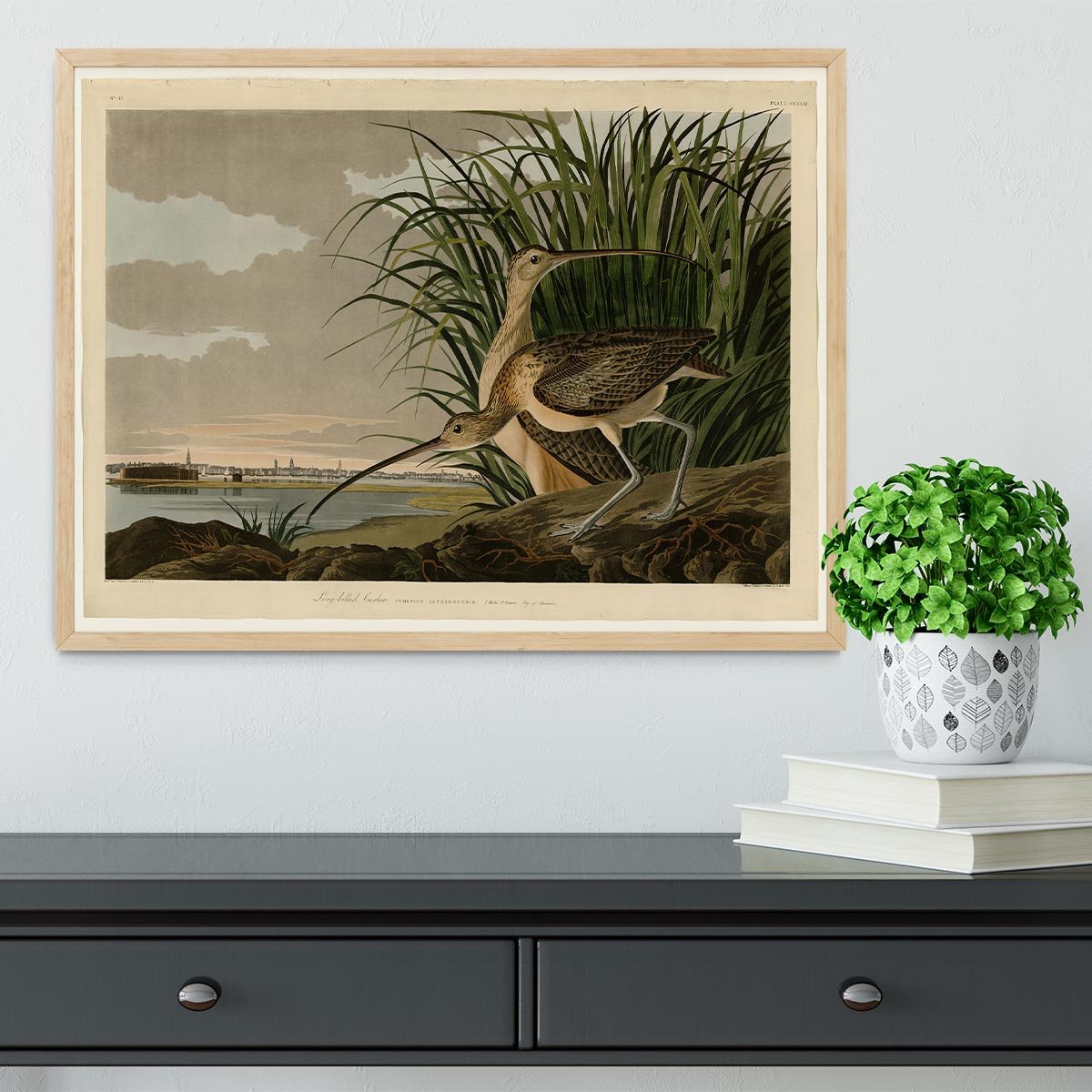 Long billed Curlew by Audubon Framed Print - Canvas Art Rocks - 4