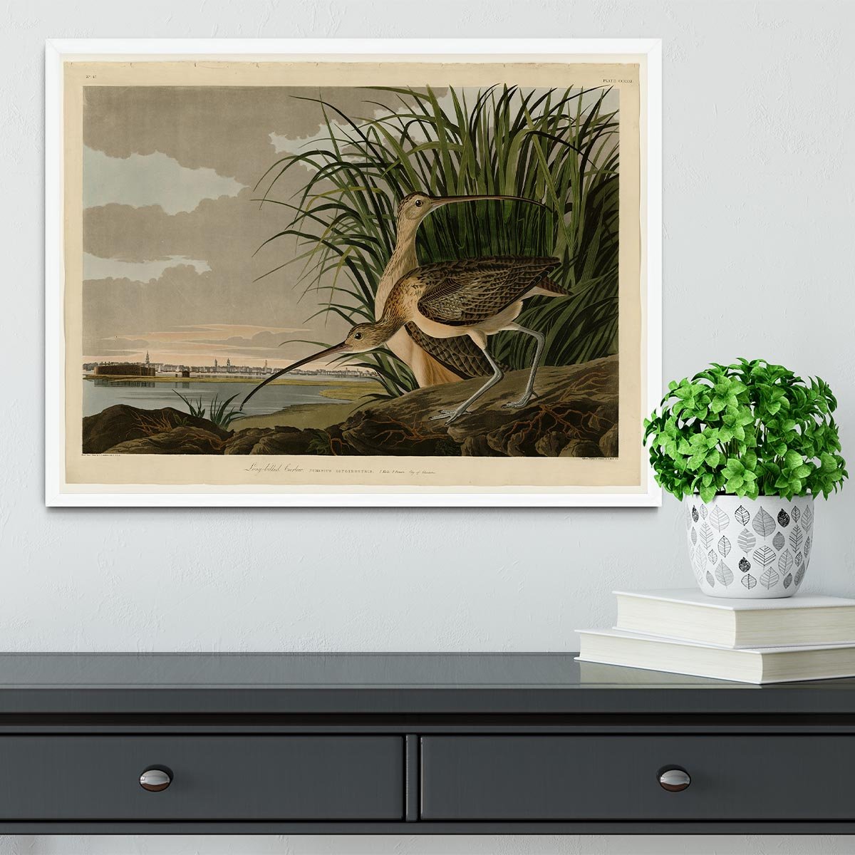 Long billed Curlew by Audubon Framed Print - Canvas Art Rocks -6