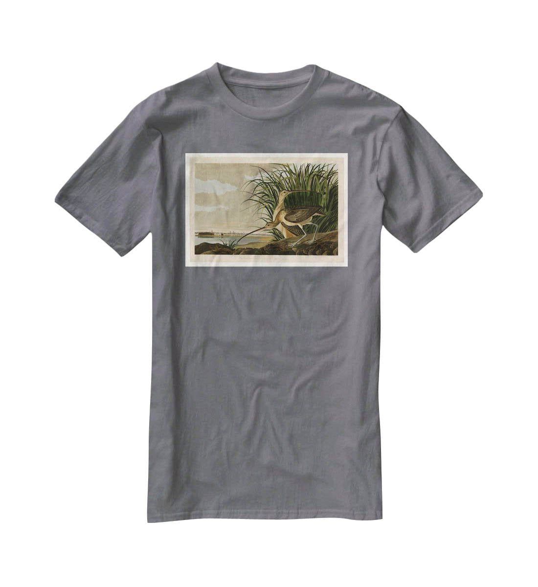 Long billed Curlew by Audubon T-Shirt - Canvas Art Rocks - 3