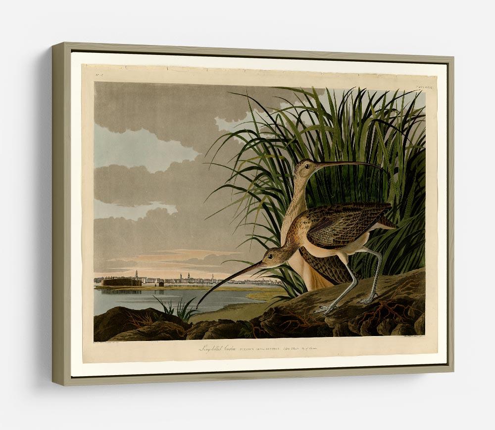 Long billed Curlew by Audubon HD Metal Print - Canvas Art Rocks - 8