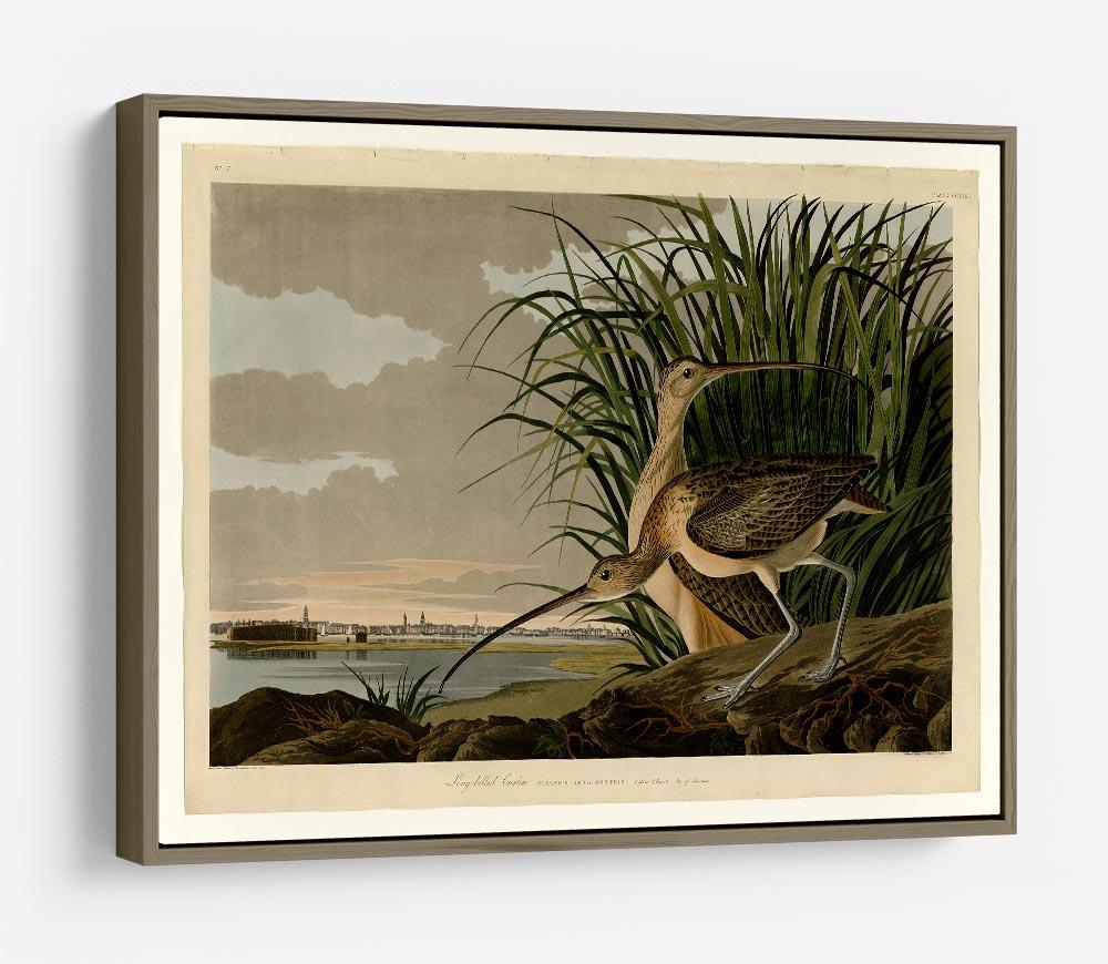 Long billed Curlew by Audubon HD Metal Print - Canvas Art Rocks - 10