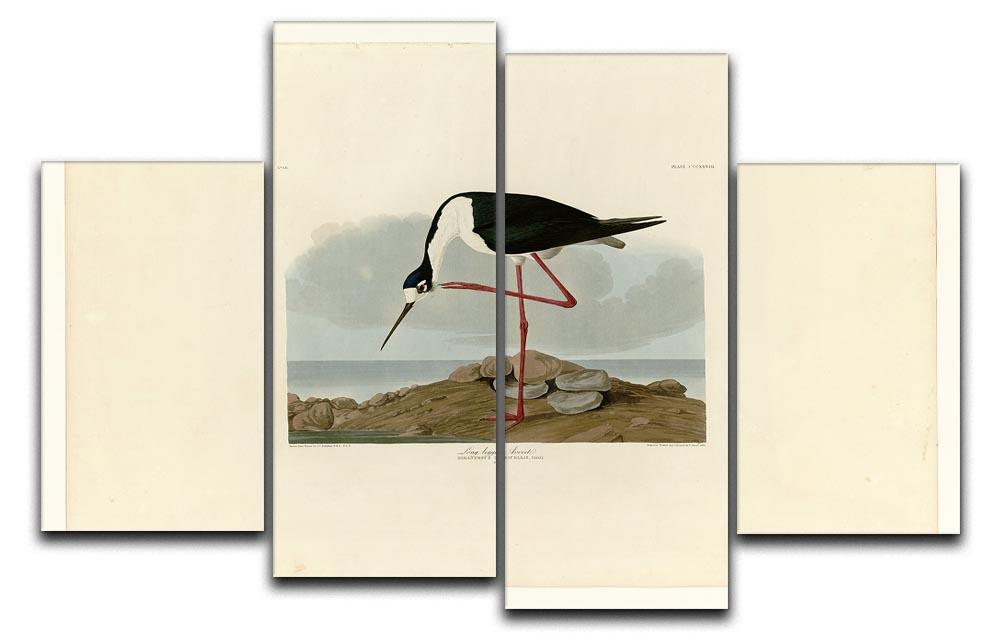 Long legged Avocet by Audubon 4 Split Panel Canvas - Canvas Art Rocks - 1