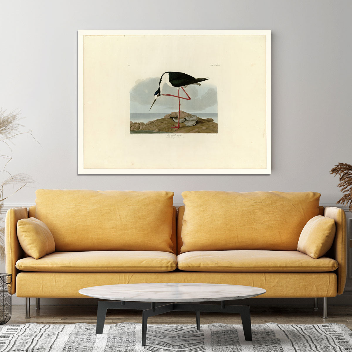 Long legged Avocet by Audubon Canvas Print or Poster - Canvas Art Rocks - 4