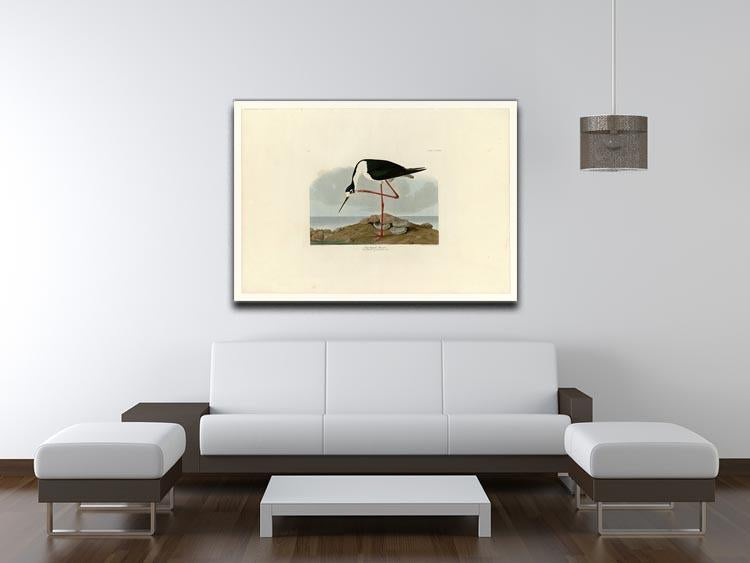 Long legged Avocet by Audubon Canvas Print or Poster - Canvas Art Rocks - 4