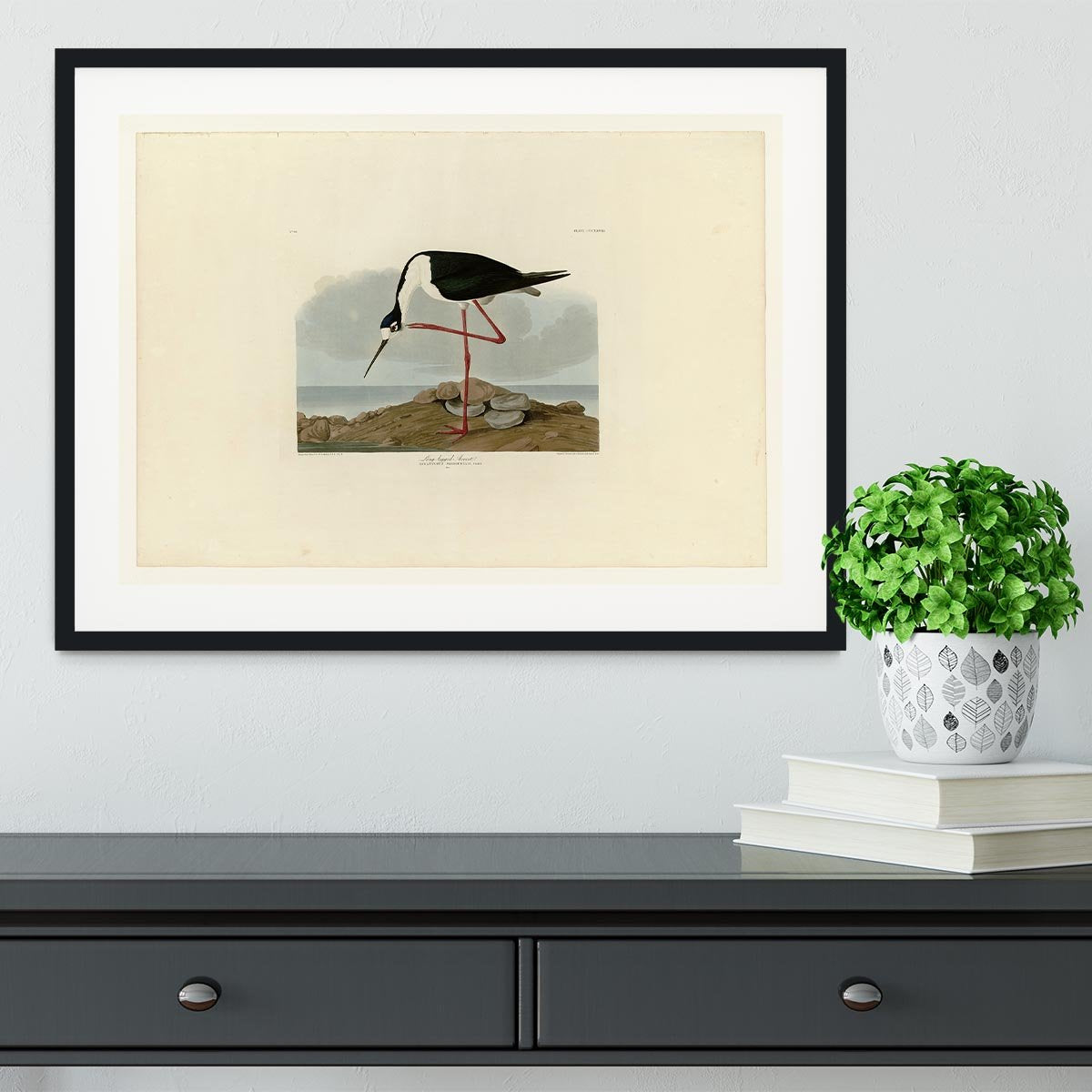 Long legged Avocet by Audubon Framed Print - Canvas Art Rocks - 1