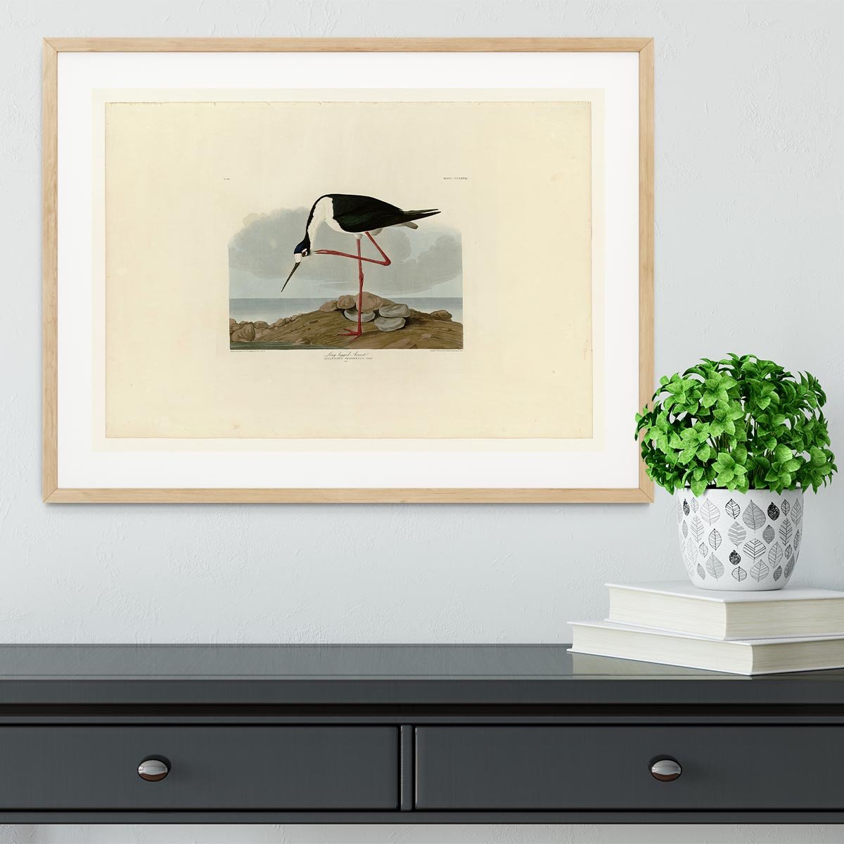 Long legged Avocet by Audubon Framed Print - Canvas Art Rocks - 3