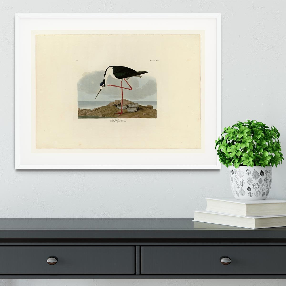 Long legged Avocet by Audubon Framed Print - Canvas Art Rocks - 5