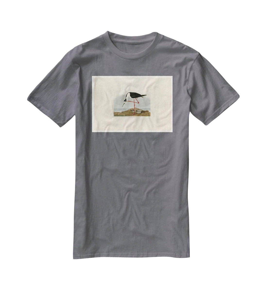 Long legged Avocet by Audubon T-Shirt - Canvas Art Rocks - 3